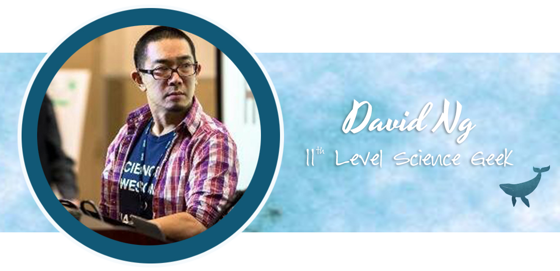 PK – DavidNg Profile